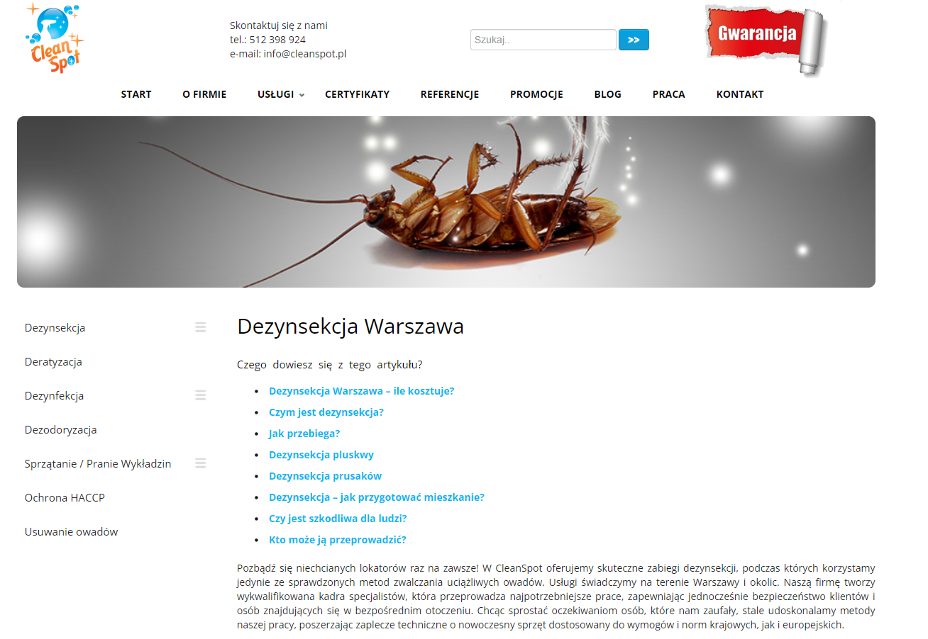 Dlaczego insekty wracają? Kiedy warto wykonać dezynsekcję?
